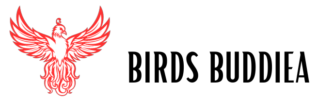 Birds Buddiea
